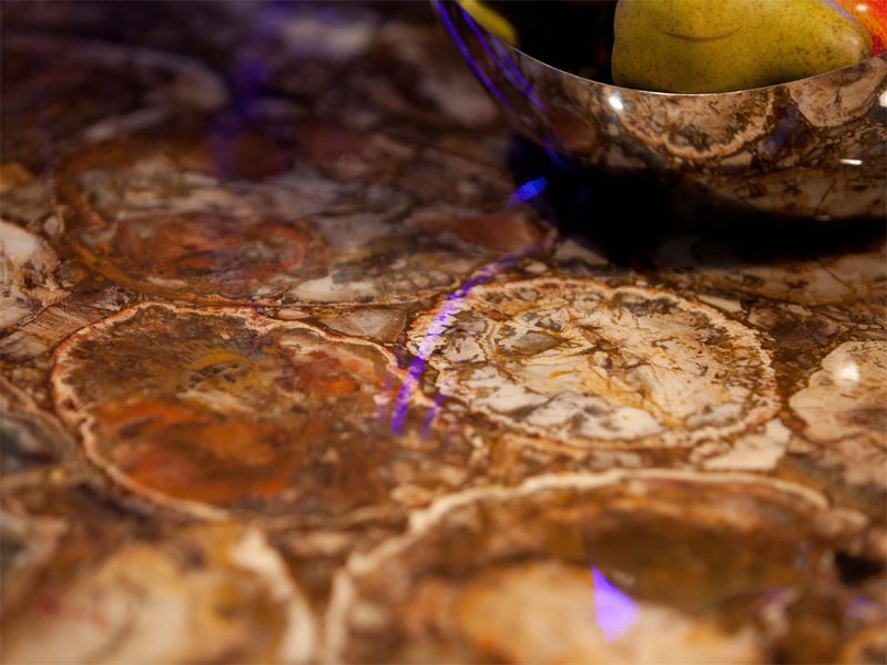 Round Petrified Wood Slab (14)